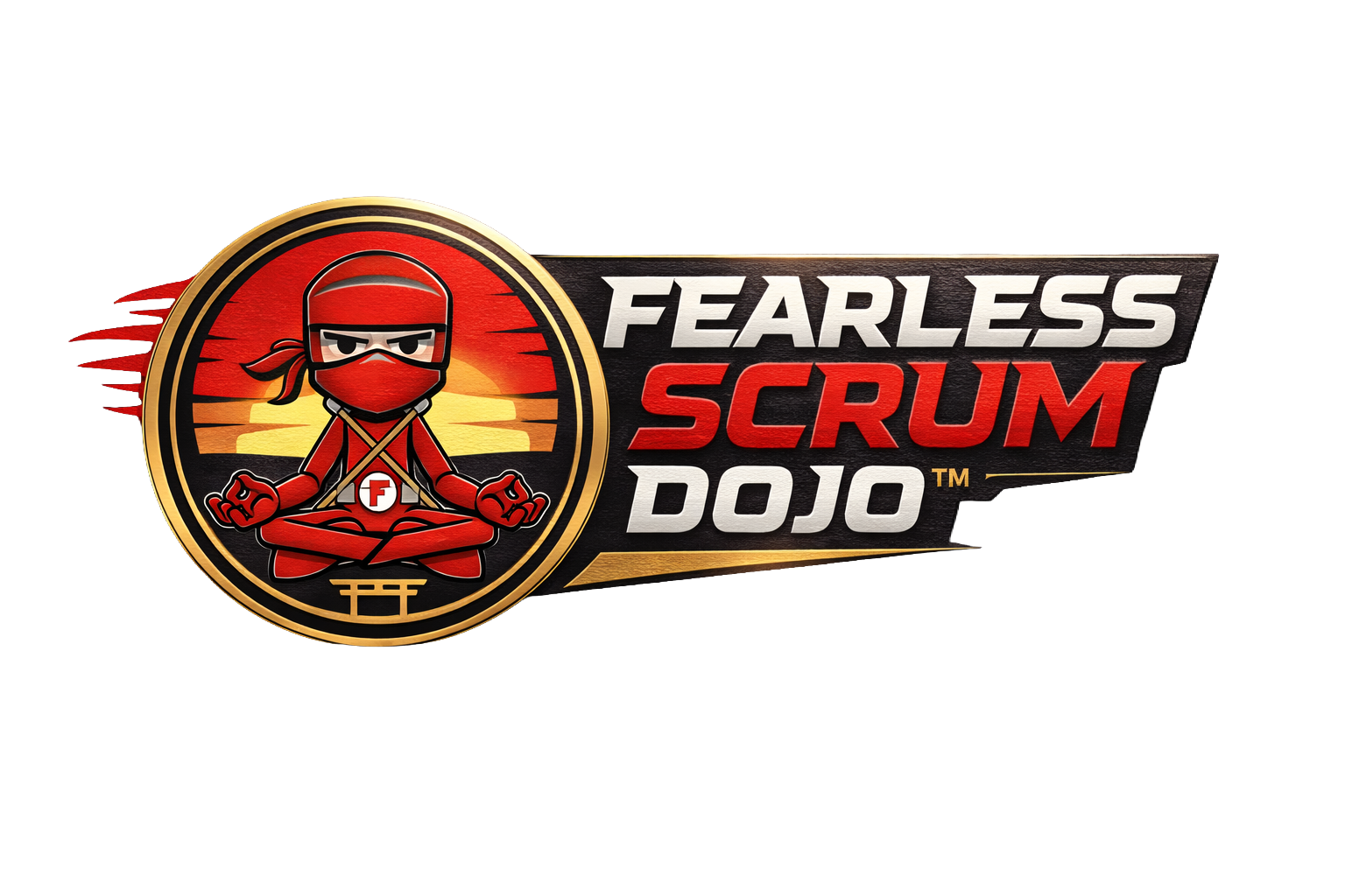 Fearless Agile Dojo canonical graphic
